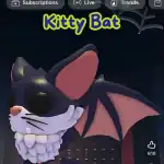 kittybat-1771537658