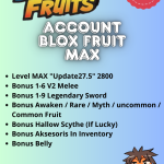 accountbloxfruitmax-1771810535