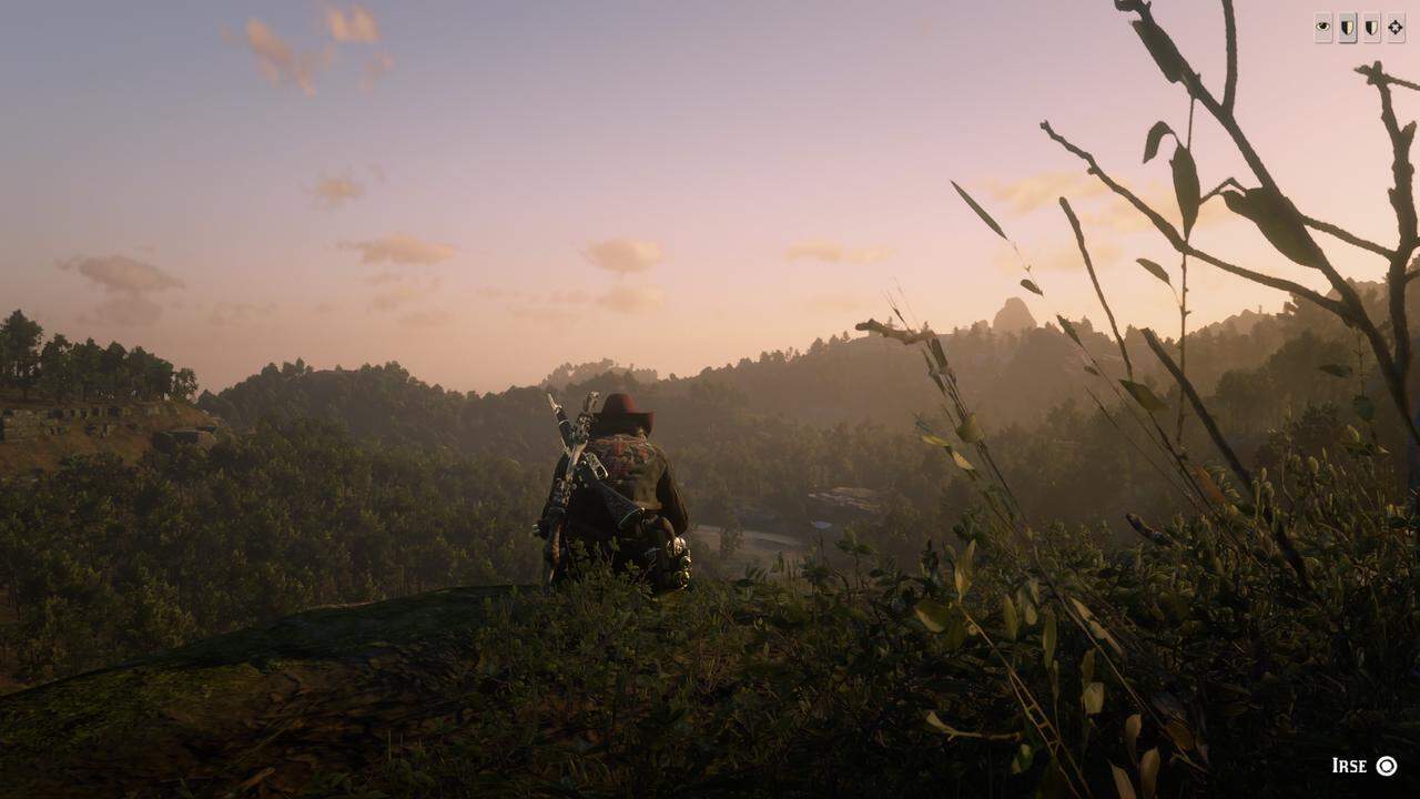 Coach Red Dead Redemption 2