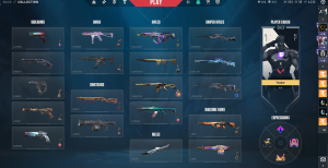 Valorant ACC from beta